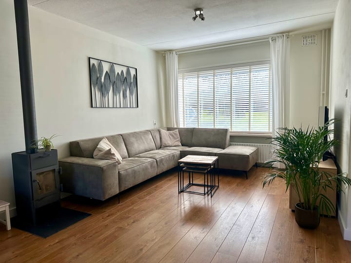 Foto 3 van Schorpioen 46