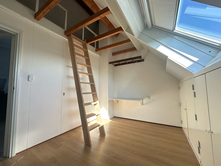 Foto 15 van Schorpioen 46