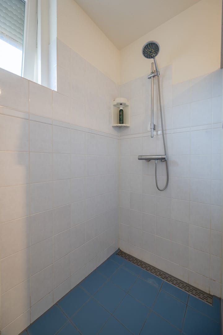 Foto 24 van Pinksterbloem 52