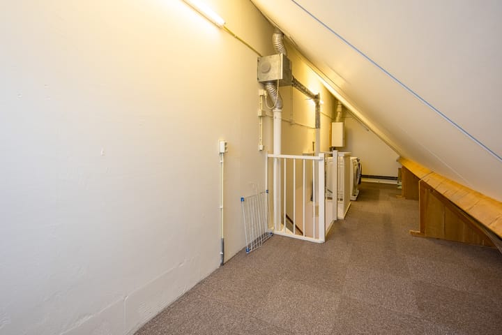 Foto 26 van Pinksterbloem 52