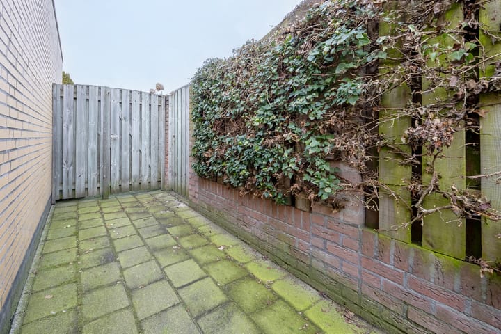 Foto 31 van Pinksterbloem 52