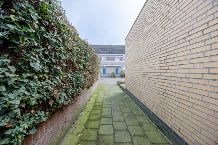 Foto 32 van Pinksterbloem 52