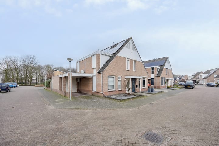 Foto 33 van Pinksterbloem 52