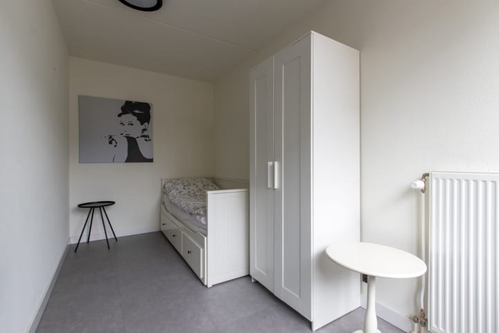 Foto 27 van Anna Paulownastraat 1-A