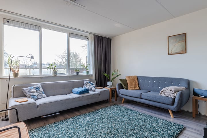 Foto 3 van Goudvink 21