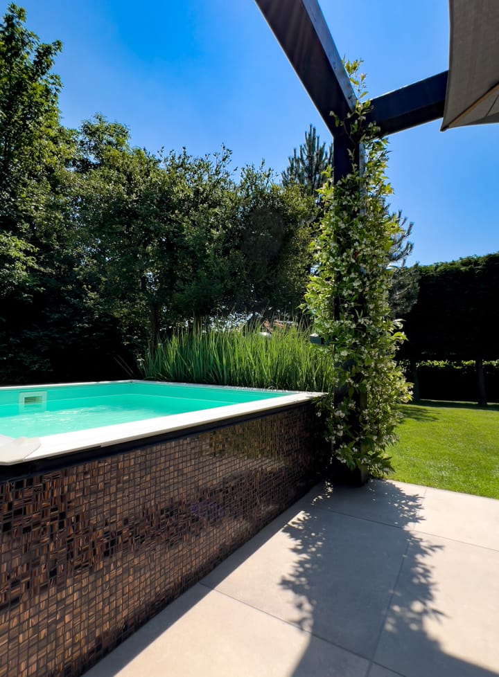 Foto 3 van Noordelijke Achterweg 59