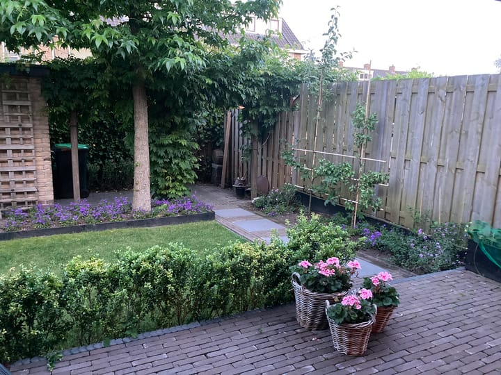 Foto 15 van Anjerstraat 41