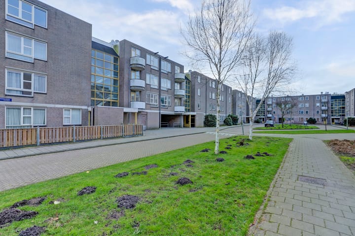 Foto 2 van Wamelplein 129