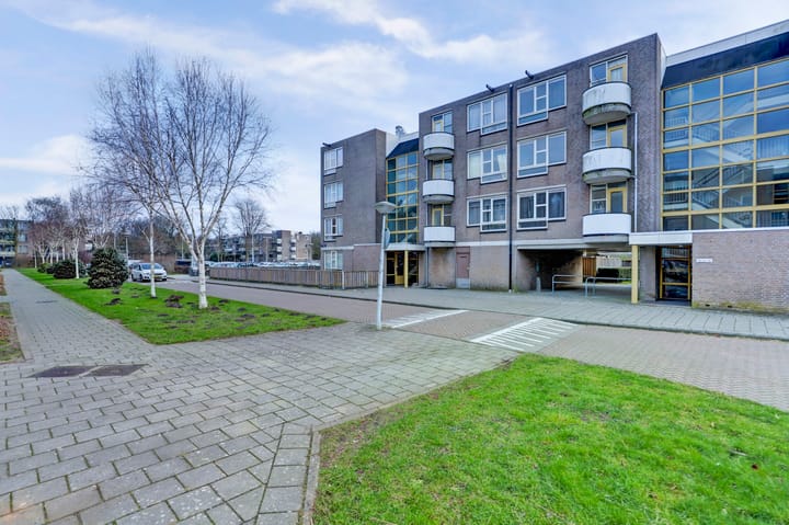 Foto 3 van Wamelplein 129