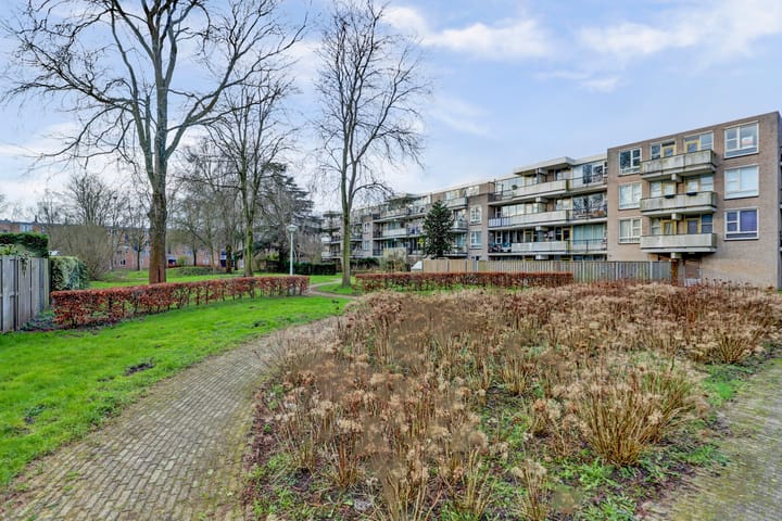 Foto 17 van Wamelplein 129