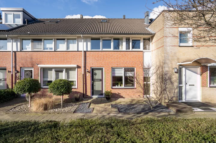 Foto 1 van Troubadour 4