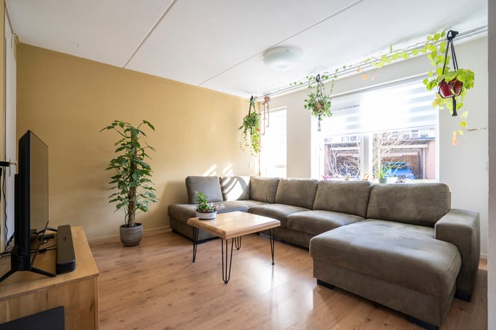 Foto 6 van Troubadour 4