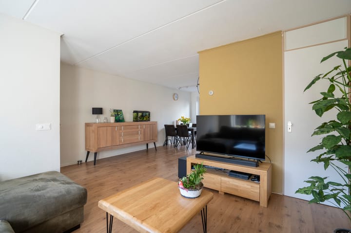 Foto 7 van Troubadour 4