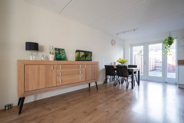 Foto 8 van Troubadour 4