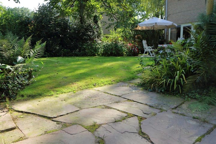 Foto 48 van Mgr de Haasstraat 17