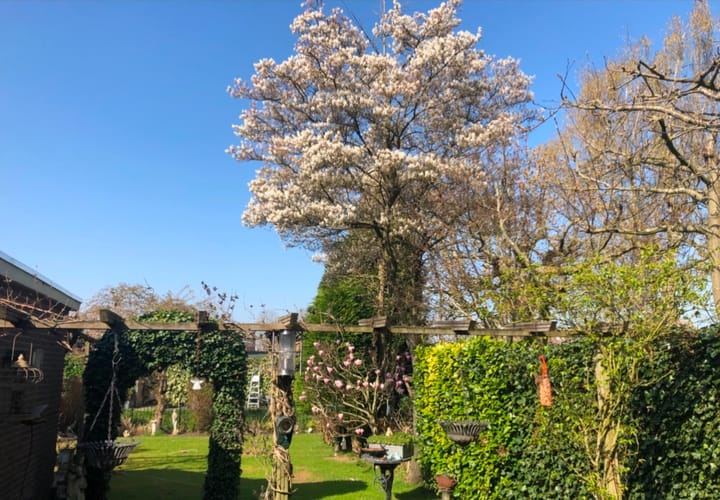 Foto 43 van Julianaweg 23