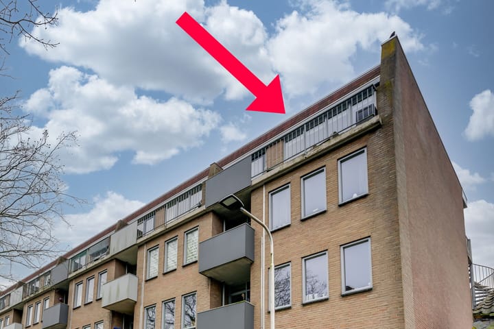 Foto 3 van Julianapark 48-20