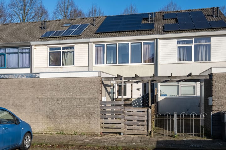 Foto 1 van Raaigras 223