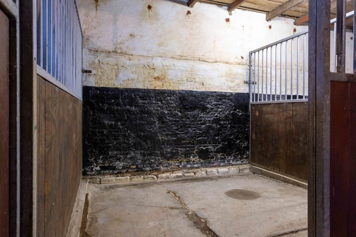 Photo 18 of Nieuwebildtdijk 12