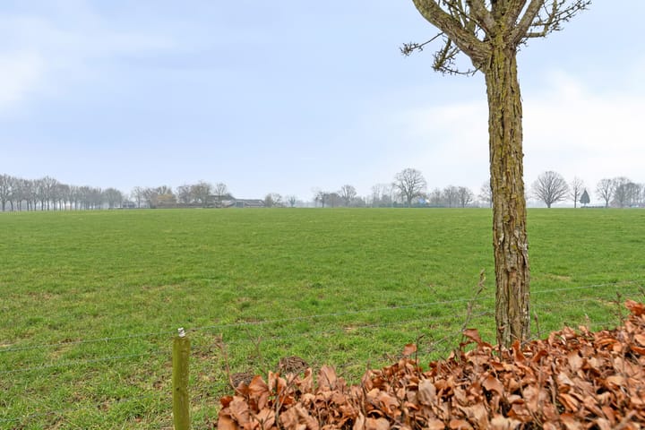 Photo 26 of Prunushof 26