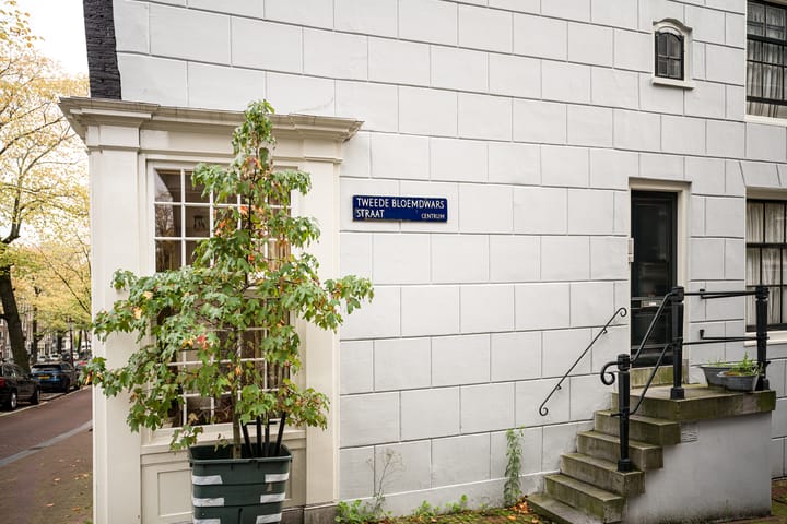 Foto 18 van Tweede Bloemdwarsstraat 9-2