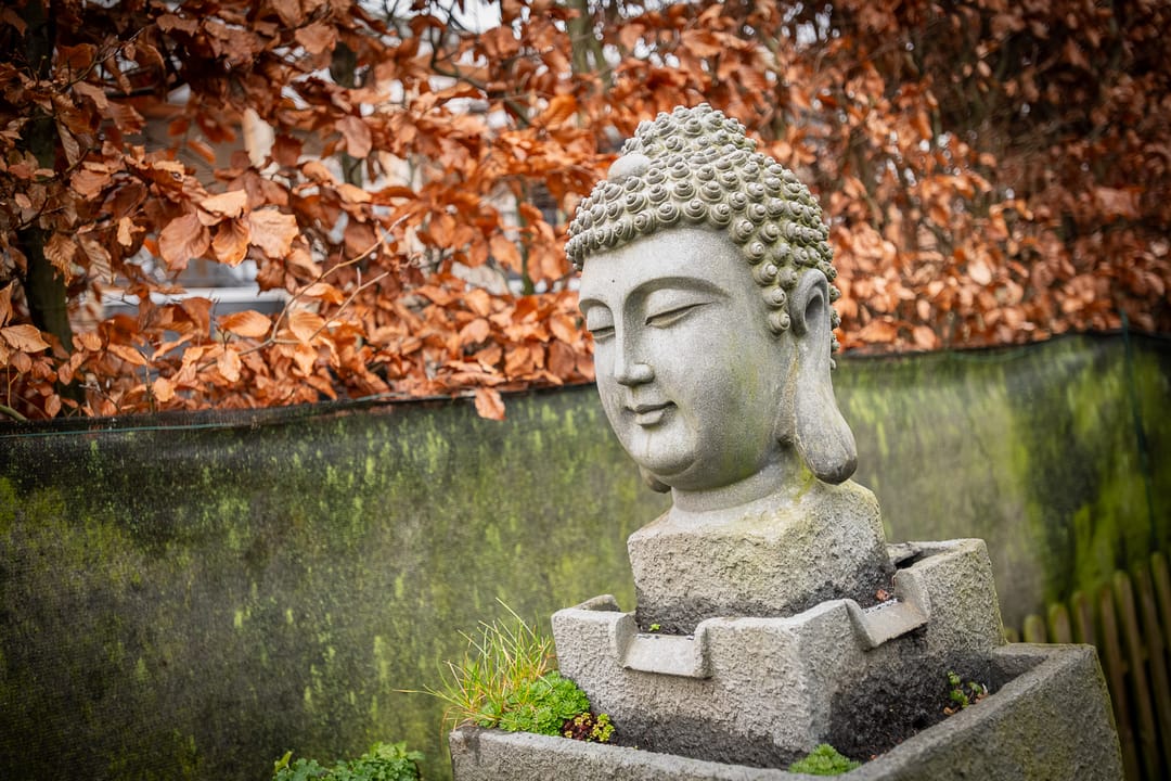 Foto 28 van Westmolendijk 81