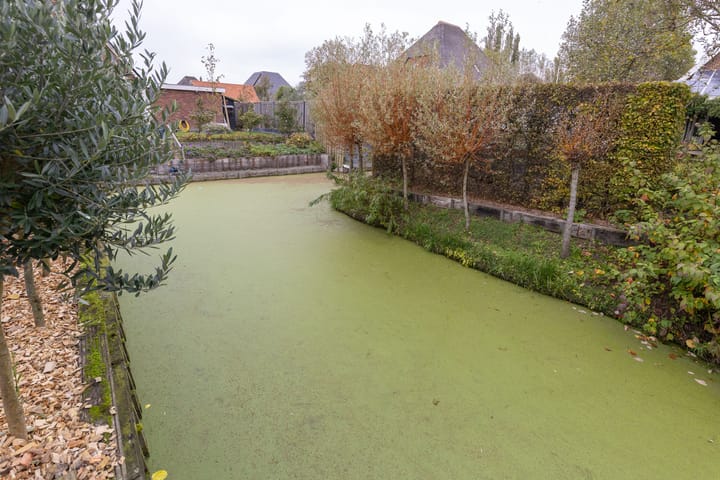 Foto 32 van De Rode Eenhoorn 10