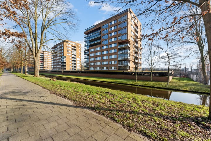 Foto 1 van Theseusstraat 239