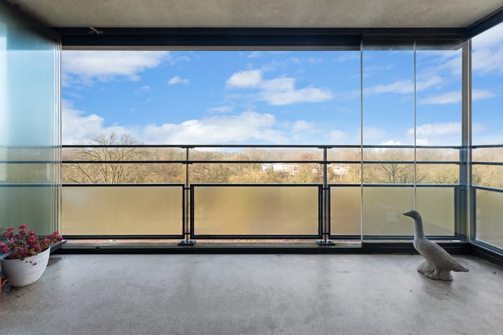 Foto 8 van Theseusstraat 239