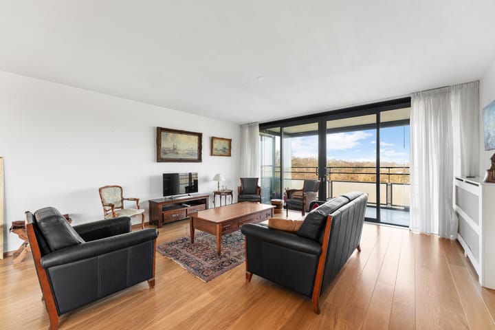 Foto 10 van Theseusstraat 239