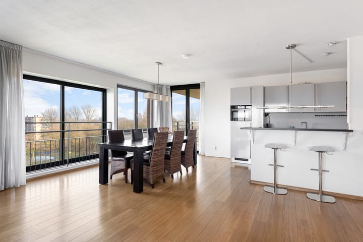 Foto 13 van Theseusstraat 239