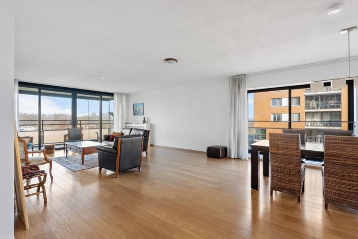 Foto 16 van Theseusstraat 239