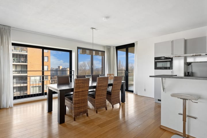 Foto 17 van Theseusstraat 239