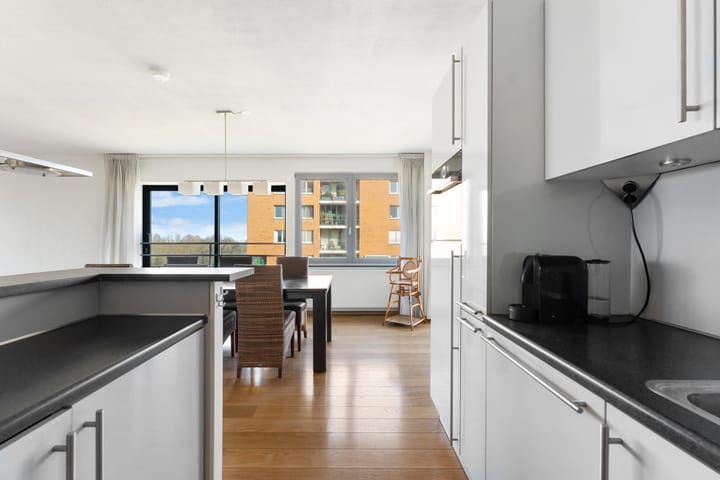 Foto 20 van Theseusstraat 239