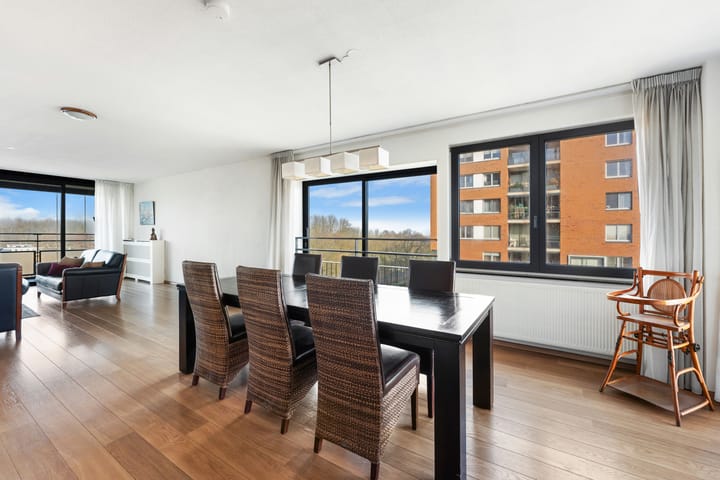 Foto 21 van Theseusstraat 239