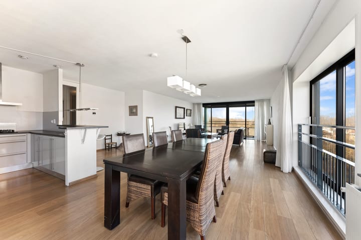 Foto 22 van Theseusstraat 239