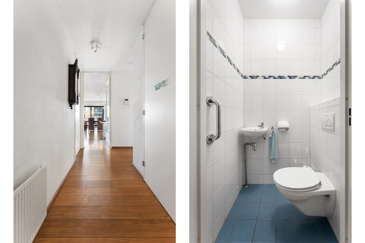 Foto 23 van Theseusstraat 239