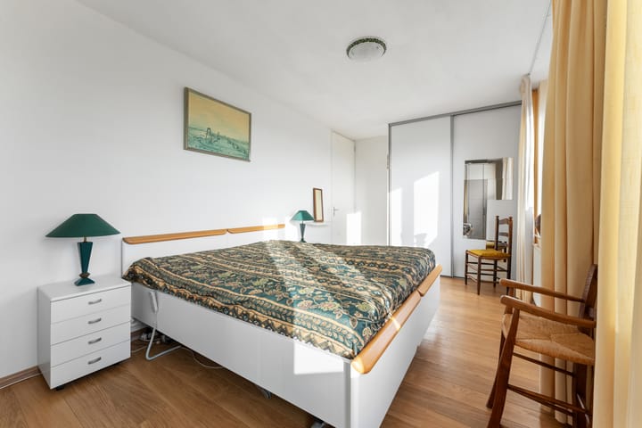 Foto 27 van Theseusstraat 239