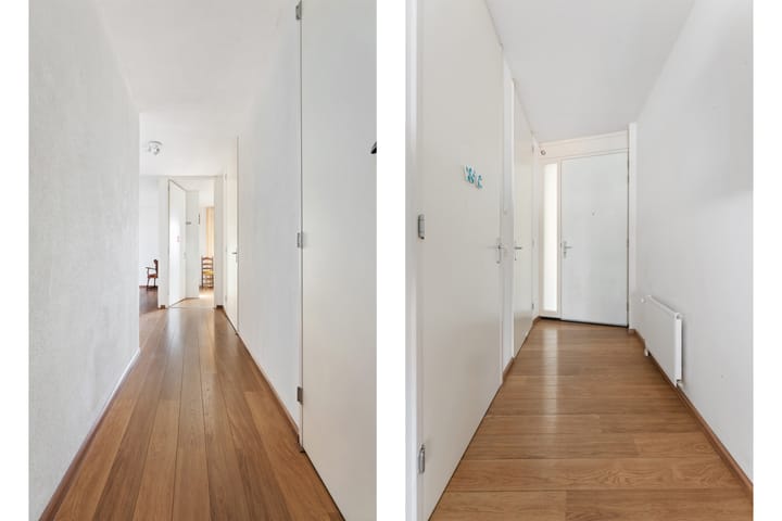 Foto 24 van Theseusstraat 239