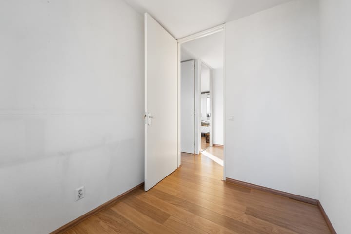 Foto 32 van Theseusstraat 239