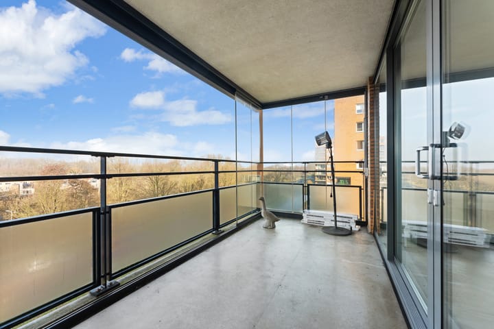 Foto 38 van Theseusstraat 239