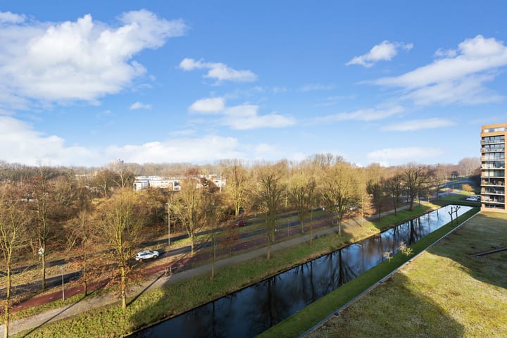 Foto 41 van Theseusstraat 239