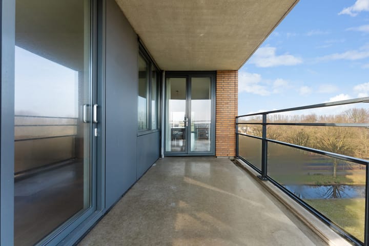 Foto 43 van Theseusstraat 239