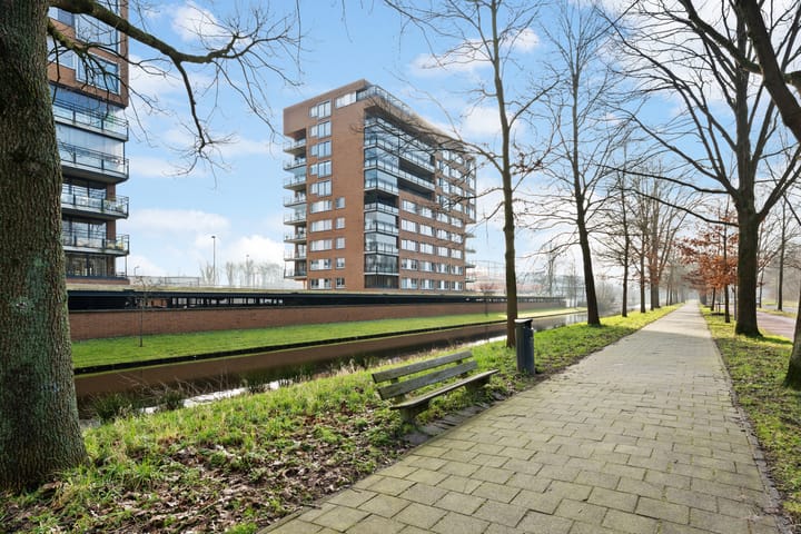 Foto 50 van Theseusstraat 239