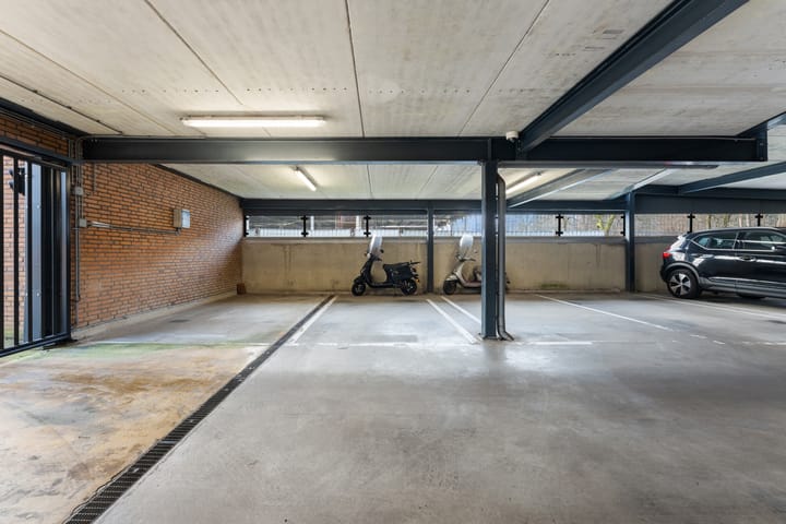 Foto 44 van Theseusstraat 239