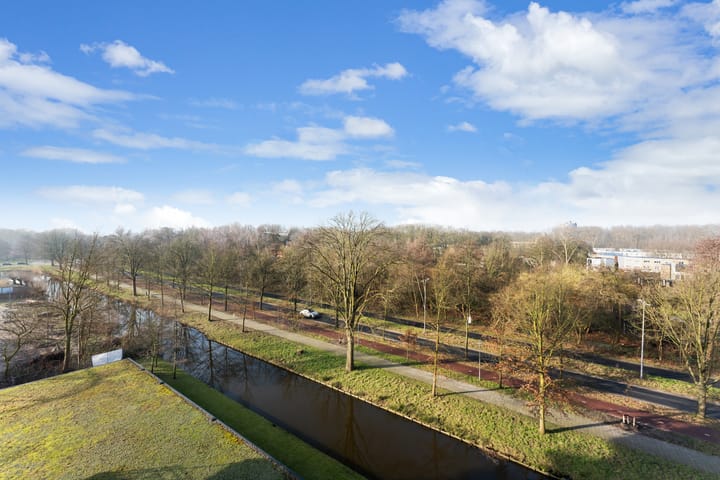 Foto 40 van Theseusstraat 239