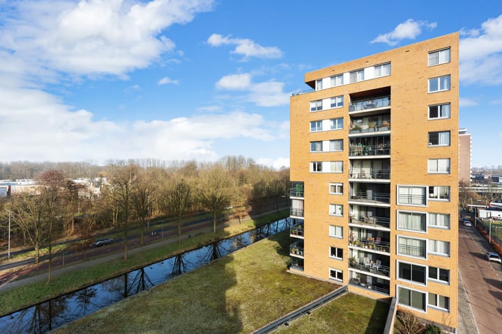 Foto 45 van Theseusstraat 239