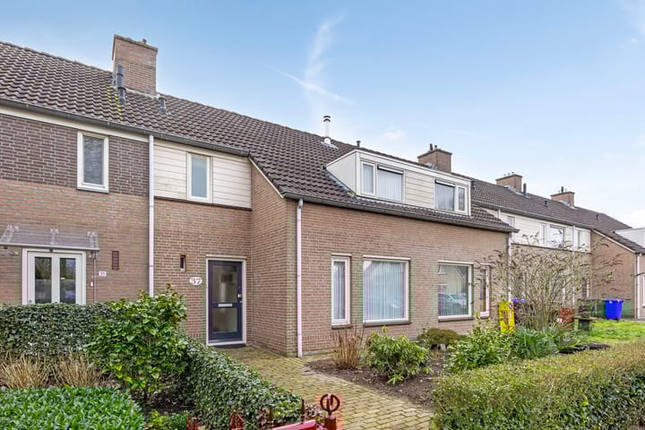 Foto 5 van Reuzenberg 37