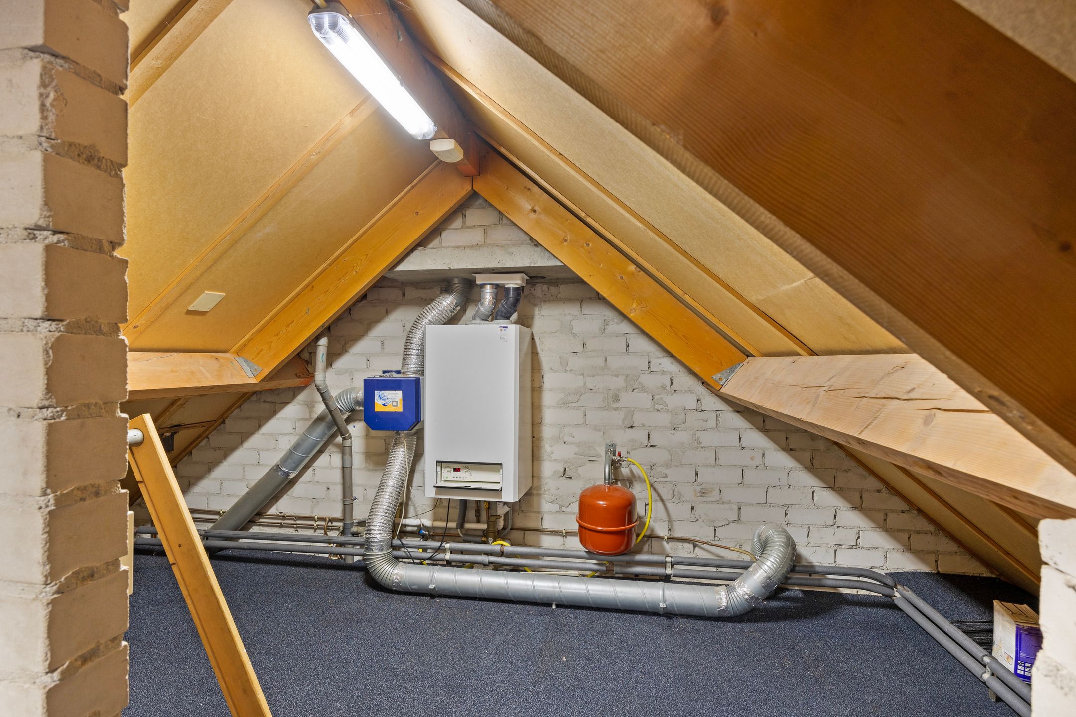 Photo 21 of Reuzenberg 37