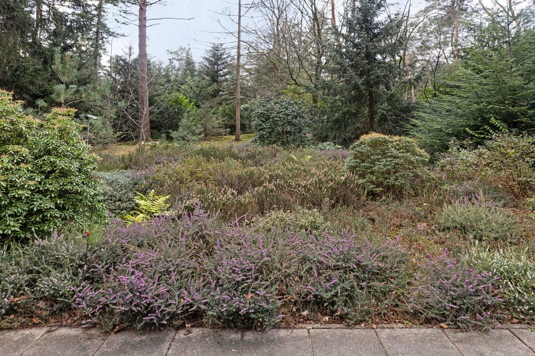 Foto 23 van Postweg 78